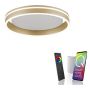 Lampa sufitowa Q-VITO 8414-60 2700-5000k 1x33W/LED 3250lm ip20 od Paul Neuhaus