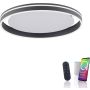 Lampa sufitowa Q-VITO 8416-13 2700-5000k 1x44W/LED 4570lm ip20 od Paul Neuhaus