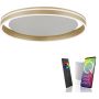 Lampa sufitowa Q-VITO 8416-60 2700-5000k 1x44W/LED 4570lm ip20 od Paul Neuhaus