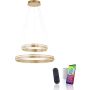 Lampa wisząca Q-VITO 8420-60 2700-5000k 2x65W/LED 7300lm ip20 od Paul Neuhaus