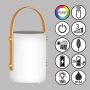 Lampa stołowa Bari 850273 RGBW 2x0.5W/LED 40lm IP44 od Fischer&Honsel
