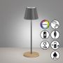 Lampa stołowa Cosenza 850329 RGBW 2x2W/LED 270lm IP44 od Fischer&Honsel