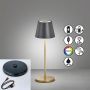 Lampa stołowa Cosenza 850338 RGBW 2x2W/LED 180lm IP44 od Fischer&Honsel