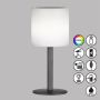 Lampa stołowa Lesina 850325 RGBW 2x0.5W/LED 40lm IP44 od Fischer&Honsel