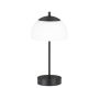 Lampa stołowa Riva 850330 3000K/4750K/6500K 1x2W/LED 240lm IP20 od Fischer&Honsel