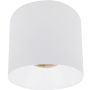 Downlight natynkowy CL IOS LED 40W 4000K ANGLE 60 8725 4000K 1x40W/LED 3200lm IP20 60° od Nowodvorski