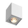 Downlight natynkowy QUADRO 89200-WH-N 1x50W/GU10 IP20 od Zuma line