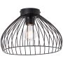 Lampa sufitowa Blacky 99604/06 1x40W/E27 IP20 od Brilliant