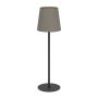 Lampa stołowa FIORANA 901129 1x40W/E14 ip20 od Eglo