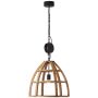 Lampa wisząca Matrix Nature 99156/66 1x60W/E27 IP20 od Brilliant