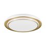 Plafon MOSCHETTA 902045 2700K, 4000K, 6500K 36W/LED 4800lm ip20 od Eglo