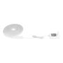 Taśma LED NEON-STRIPE-Z 901109 3000-6500K 30W/LED 3400lm ip20 od Eglo