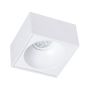 Downlight wpuszczany Bali ML0077 1x50W/GU10 IP20 od Eko-Light