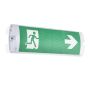 Lampa awaryjna Sight Plus 97817 6500K 3W IP65 od Endon