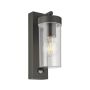 Kinkiet Hayden PIR 99756 15W/E27 IP44 od Endon