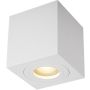 Downlight natynkowy QUARDIP ACGU10-160 1x50W/GU10 od Zuma Line