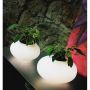 Lampka stołowa FLORA AZ0185 3x60W/E27 od AZzardo