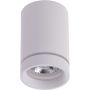 Downlight natynkowy BILL0W AZ3375 4200K 1x10W/LED 925lm od AZzardo
