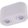 Downlight natynkowy BRANT 2 ROUND SMART WIFI AZ3722 2700K-6500K 2x10W/GU10 680lm od Azzardo