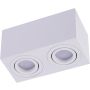 Downlight natynkowy BRANT 2 SQUARE SMART WIFI AZ3724 2700K-6500K 2x10W/GU10 680lm od Azzardo