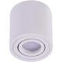 Downlight natynkowy BRANT ROUND SMART WIFI AZ3720 2700K-6500K 1x5W/GU10 340lm od Azzardo