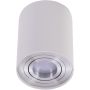 Downlight natynkowy BROSS SMART WIFI AZ3735 2700K-6500K 1x5W/GU10 340lm od Azzardo