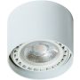 Downlight natynkowy ECO ALIX SMART WIFI AZ3770 2700K-6500K 1x11W/GU10/ES111 880lm od Azzardo