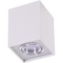 Downlight natynkowy ELOY SMART WIFI AZ3778 2700K-6500K 1x5W/GU10 340lm od Azzardo