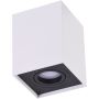 Downlight natynkowy ELOY SMART WIFI AZ3779 2700K-6500K 1x5W/GU10 340lm od Azzardo
