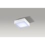 Downlight natynkowy FALCO2 AZ2781 4000K 1x12W/LED 955lm od AZzardo