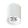 Downlight natynkowy MANE AZ2845 3000K 1x10W/LED 760lm od AZzardo