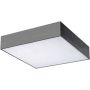 Plafon sufitowy MONZA II S 30 SMART WIFI AZ3265 3000K 1x36W/LED 3060lm od Azzardo