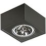 Downlight natynkowy PAULO AZ2891 1x50W/ES111 od AZzardo
