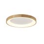 Plafon sufitowy SILVAM 65 TOP AZ2698 3000K 1x50W/LED 3250lm od AZzardo