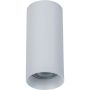 Plafon sufitowy C010CL-01W ALFA od Maytoni