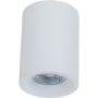 Plafon sufitowy C012CL-01W ALFA od Maytoni