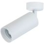 Plafon sufitowy C017CW-01W FOCUS od Maytoni