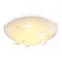 Plafon C2345 RINGO od Italux