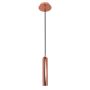 Zwis FH31141-BJ-RC ATHAN od Italux