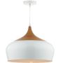 Lampa wisząca Gaucho GAU8602 1x60W/E27 od Dar Lighting