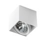 Downlight natynkowy ALEX2V AZ1359 1x50W/QR111 od AZzardo