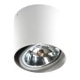 Downlight natynkowy ALIX2V AZ1356 1x50W/QR111 od AZzardo