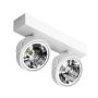 Downlight natynkowy JERRY AZ1369 2x50W/QR111 od AZzardo