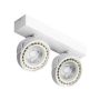 Downlight natynkowy JERRY AZ1371 2x50/40W/ES111/GU10 od AZzardo