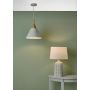 Lampa wisząca Ilori ILO012 1x60W/E27 od Dar Lighting