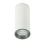 Downlight natynkowy SLC7392/12W 3000K WH+GR MOLDES od Italux