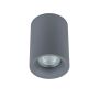 Downlight natynkowy TM09080-GR FLYNN od Italux
