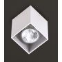 Downlight natynkowy PET SQUARE C0082 1x50w/gu10 ip20 od Maxlight