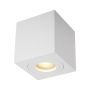 Downlight natynkowy QUARDIP ACGU10-160-N 1x50W/GU10 IP44 od Zuma line