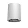 Downlight natynkowy Point 1259 1x10W/GU10 IP20 od Antigo